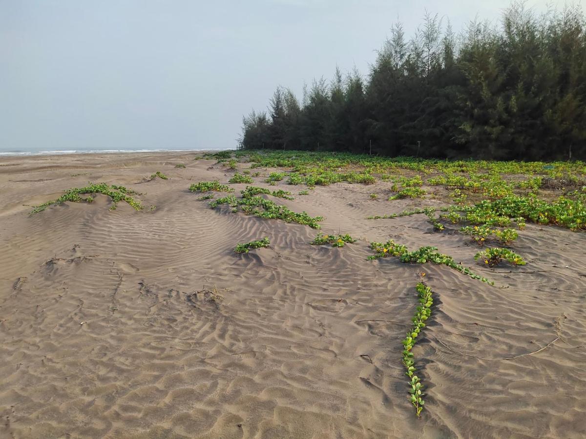 Whistling Waves Beach Resort Ānjarle Extérieur photo